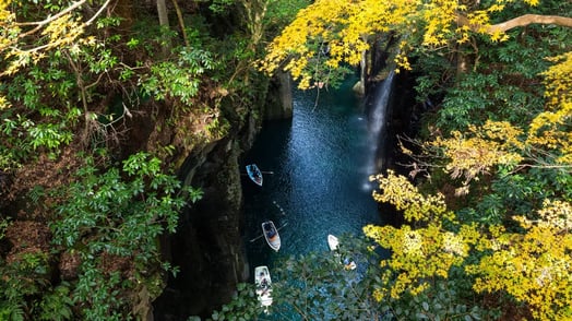 top-hyogo