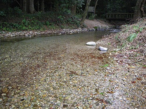 清水社の湧き水と石、苔むした岩から清水が流れる風景