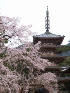 醍醐寺について｜歴史や概要を詳しく解説