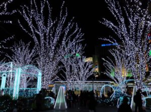 中洲の屋台（福岡）｜博多の夜を彩る屋台文化完全ガイド