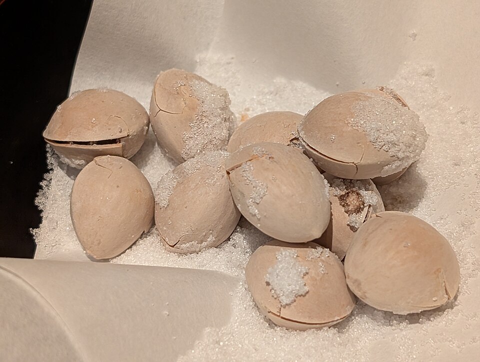 大阪の新世界の居酒屋街、串カツ屋の看板とネオン