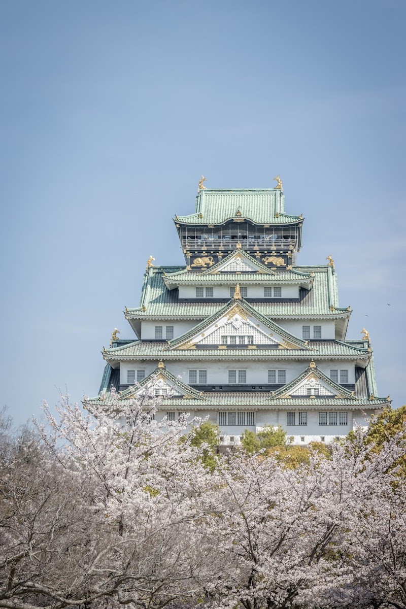 【2026年版】大阪城の桜祭り完全ガイド｜外堀3,000本の桜と西の丸庭園の見どころ