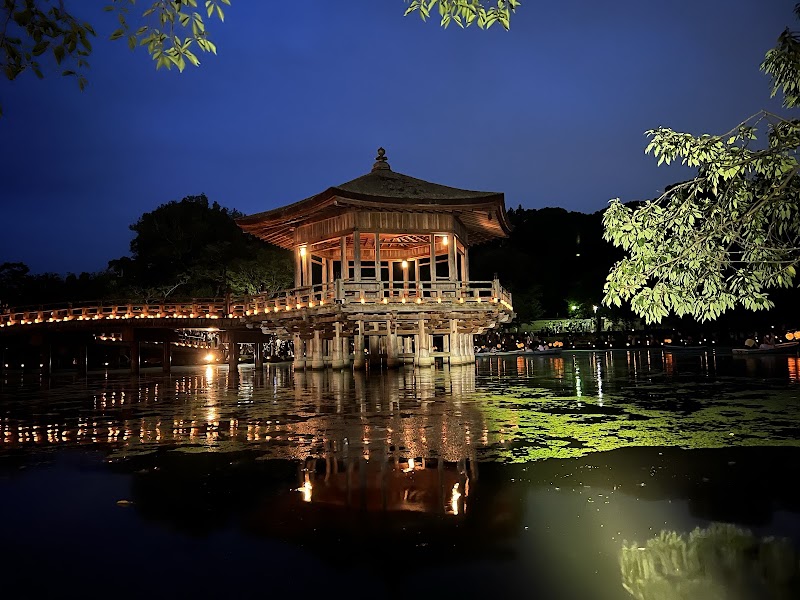 【2026年版】奈良公園の桜と鹿｜春の奈良観光ガイド・見頃とおすすめ散策コース