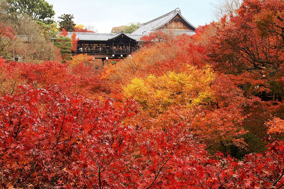 Tofuku-ji's Sanmon gate viewed from below, an angle conveying the power of this massive wooden structure