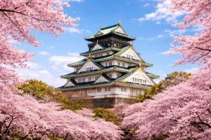 【2026年版】大阪城の桜祭り完全ガイド｜外堀3,000本の桜と西の丸庭園の見どころ