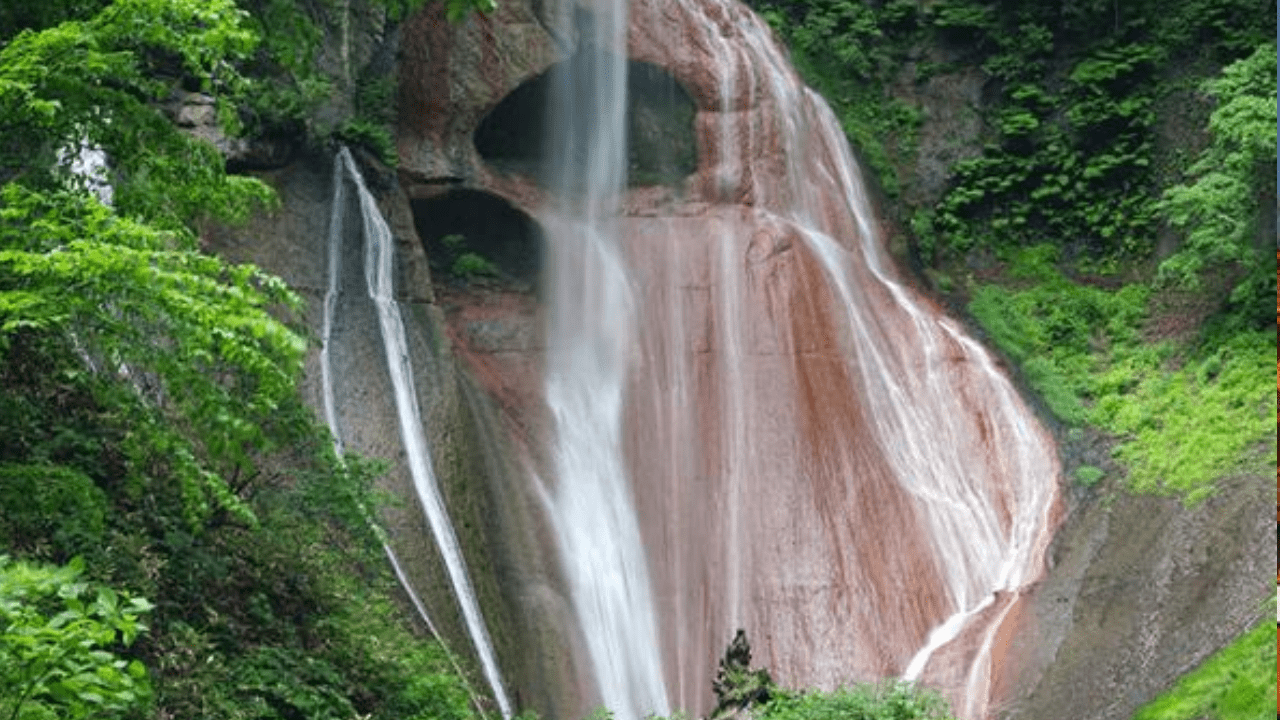 箱根強羅公園 (9)