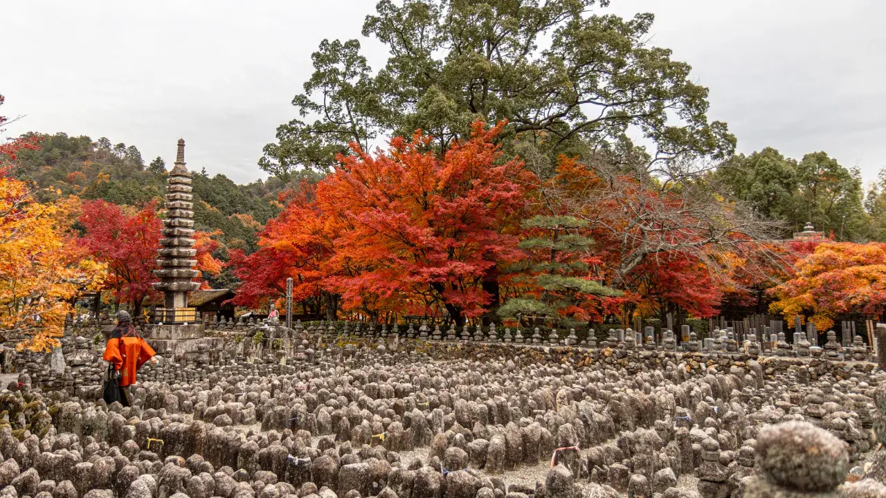 2-Apr-12-2025-12-52-36-6608-AM