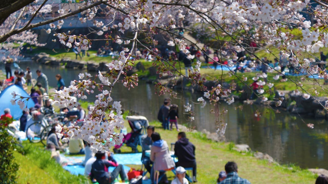 弁天堂 (29)-Jan-18-2026-01-13-25-4200-PM