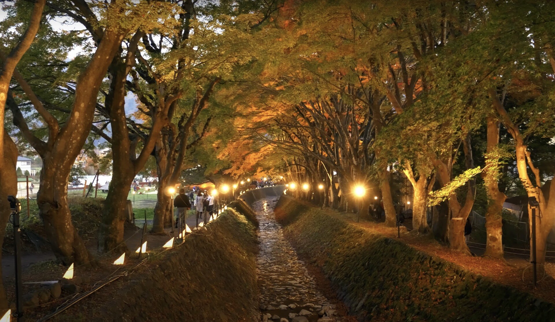 スクリーンショット 2024-10-06 18.07.48