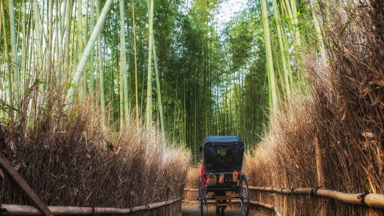 7-Apr-20-2026-03-26-53-6253-PM