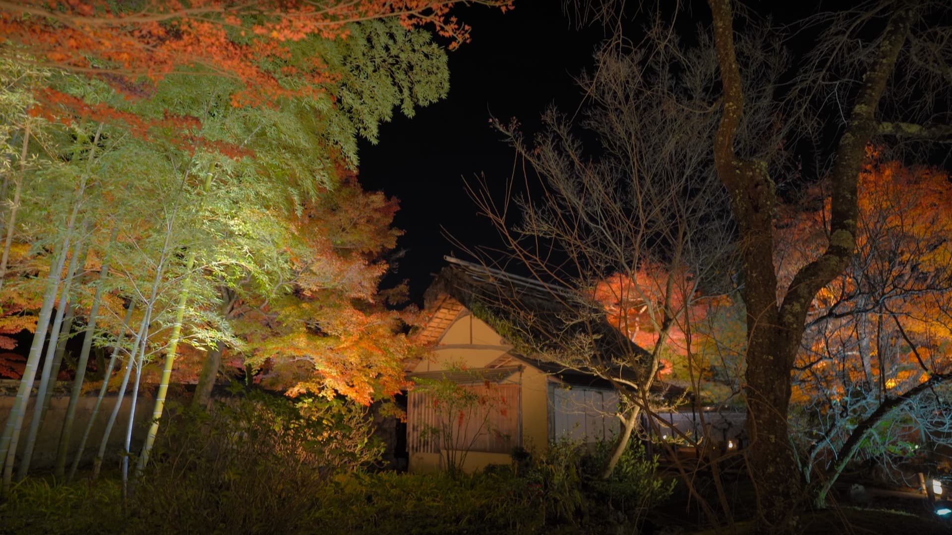 8-Feb-15-2025-05-28-18-5851-PM