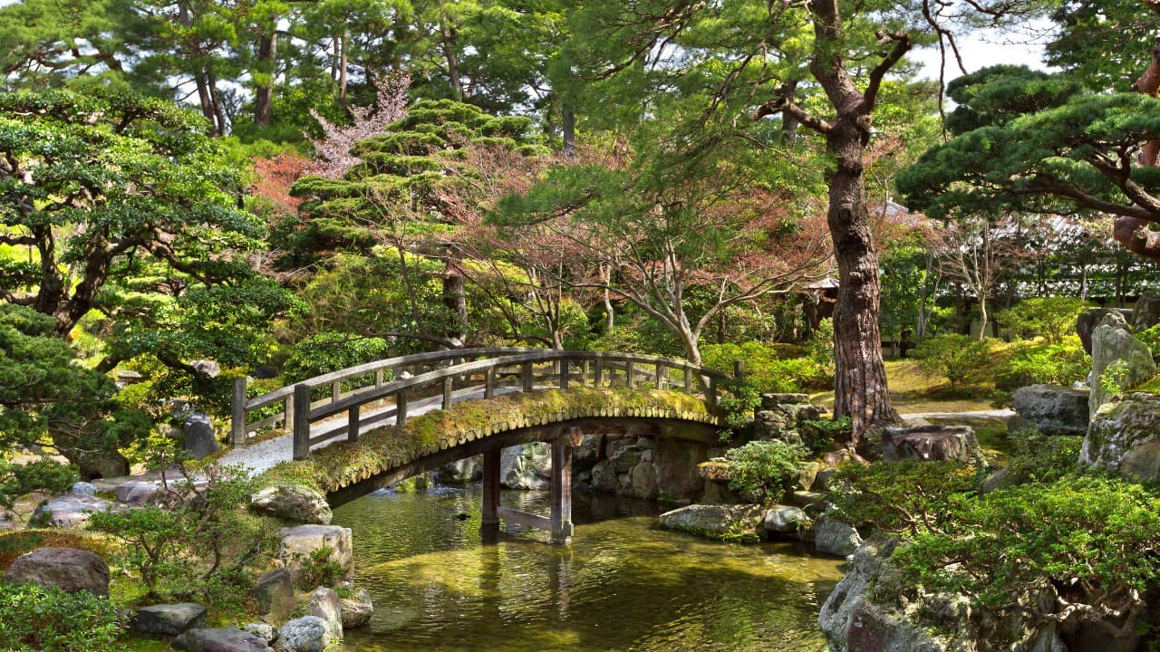 弁天堂 (56)-Jan-26-2025-01-31-09-1581-AM