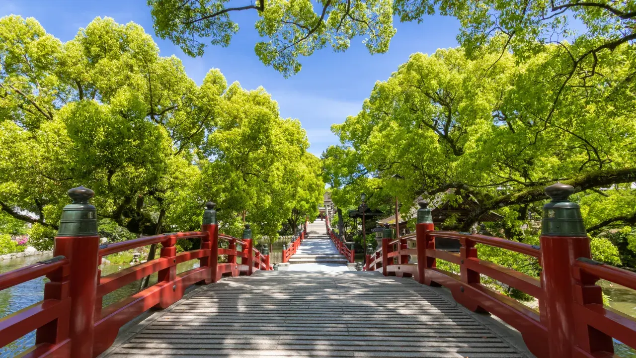 [Dazaifu Tenmangu Shrine x Sake] Enjoy local sake on a sake brewery tour! A trip to enjoy Fukuoka and sake