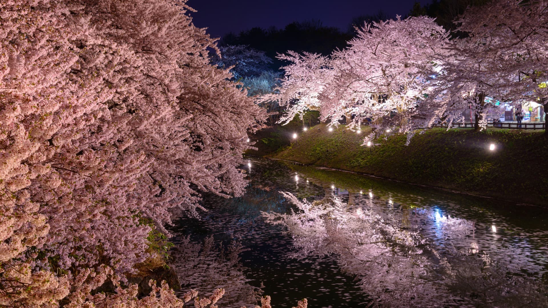 6-Feb-11-2025-07-46-01-7565-AM