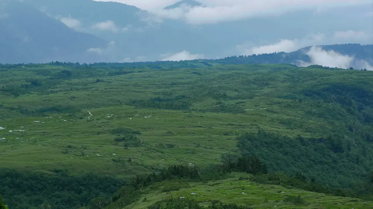 13-May-24-2025-06-25-44-7887-AM