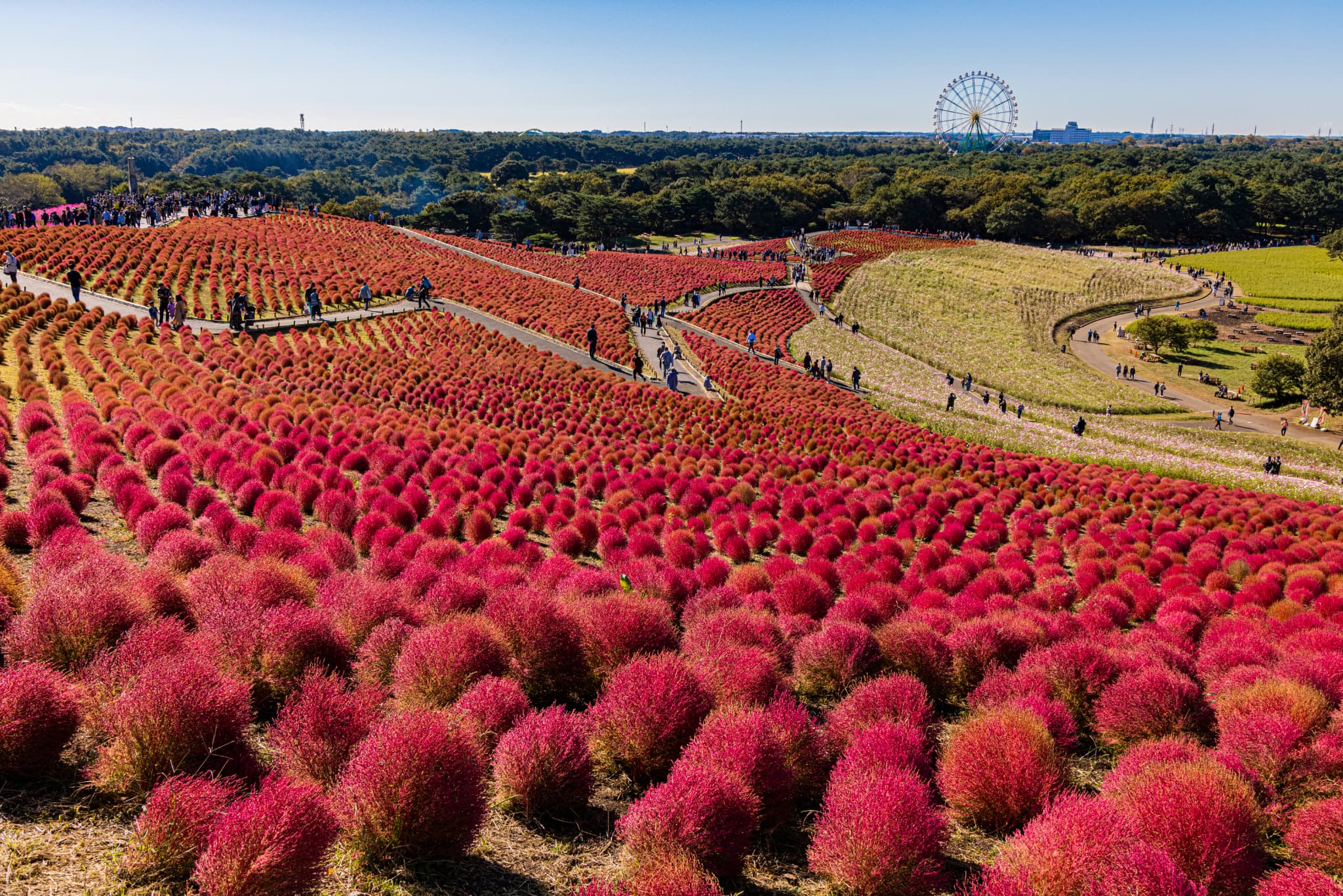 AdobeStock_465021958