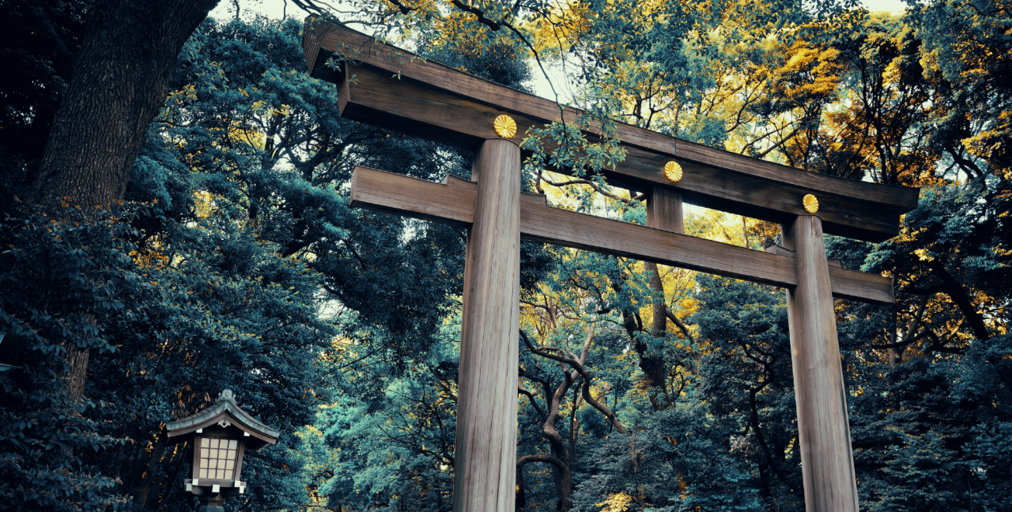 名称未設定のデザイン (22) (1)