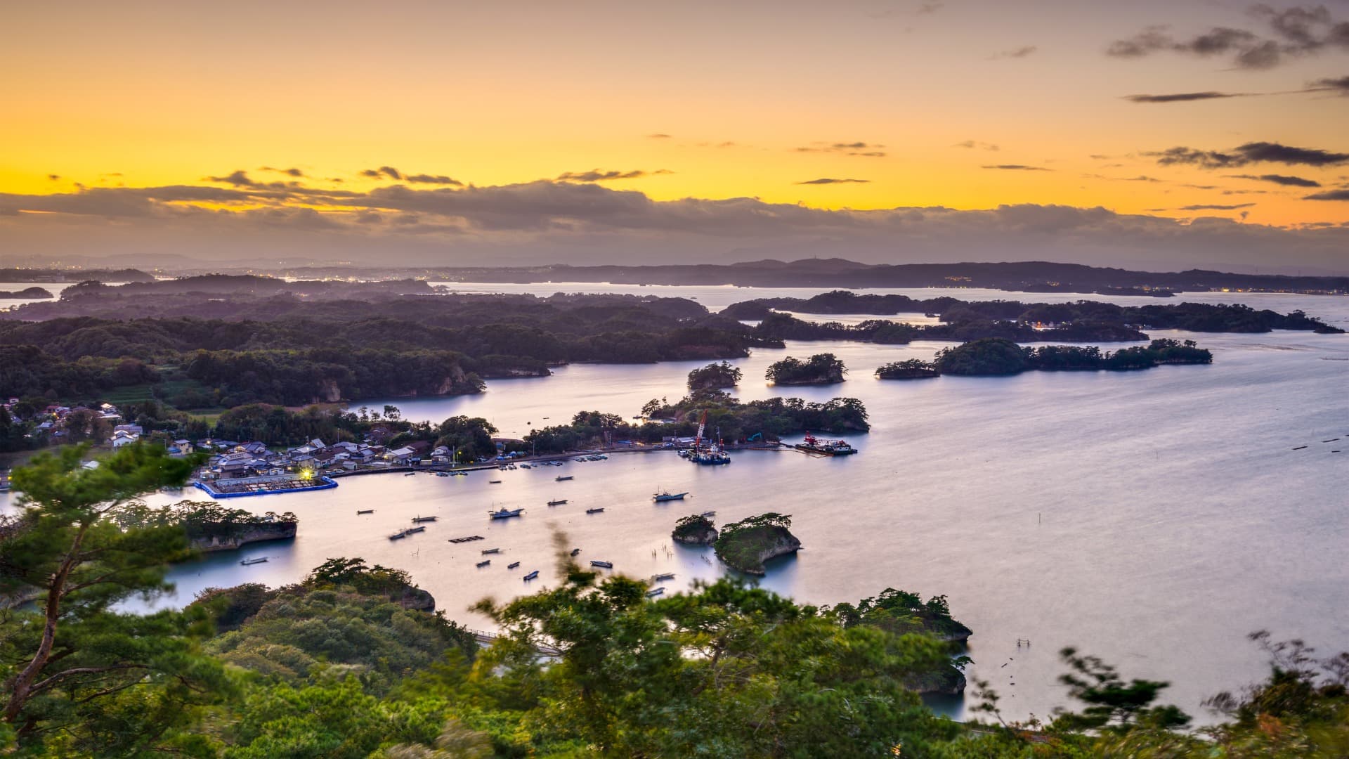 7-Feb-15-2026-01-34-46-2212-AM