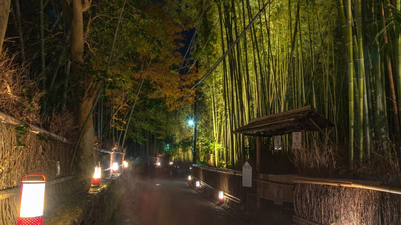 弁天堂 (61)-Dec-22-2024-01-47-09-8209-AM