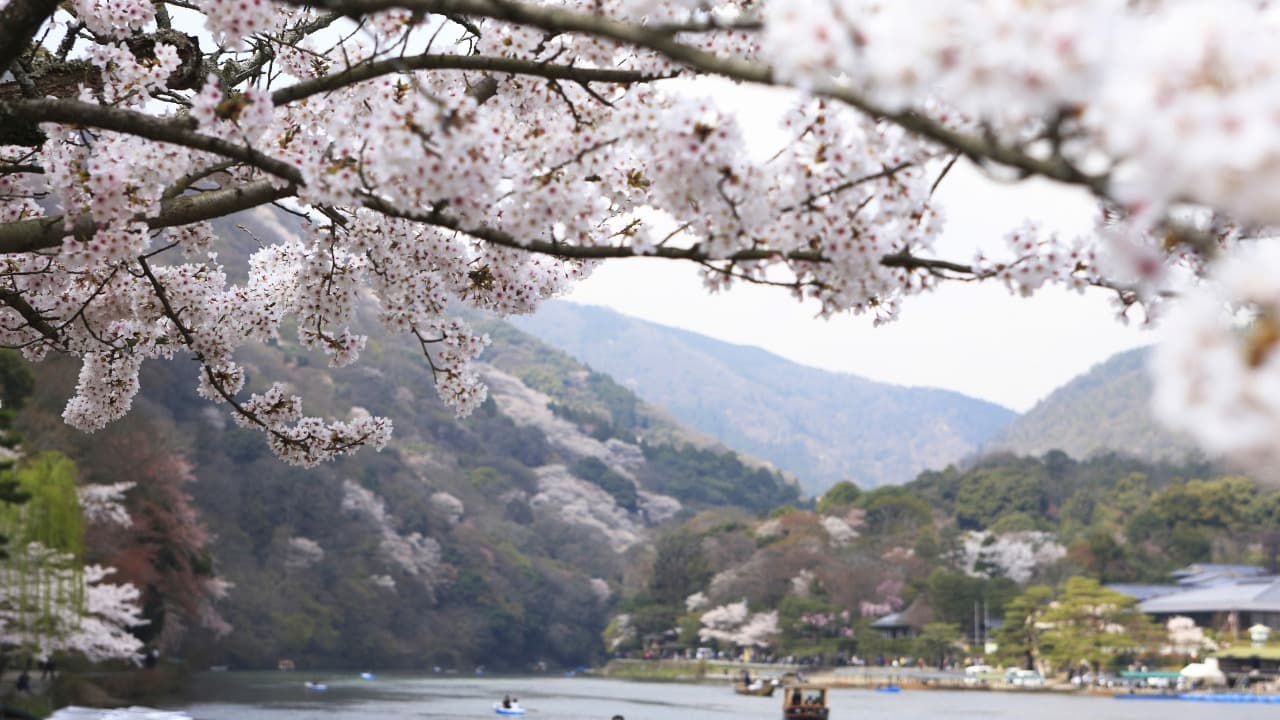 弁天堂 (19)-Jan-18-2026-12-48-15-7752-PM