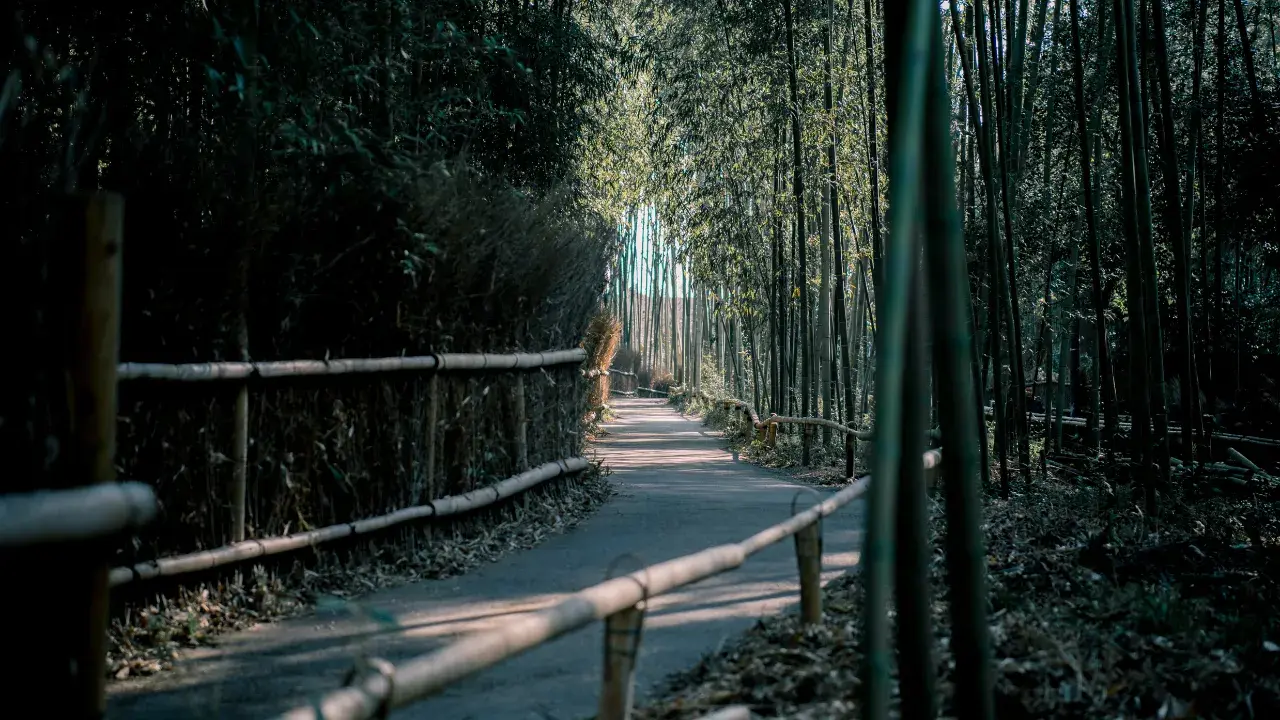 4-Apr-08-2025-08-13-51-9752-AM