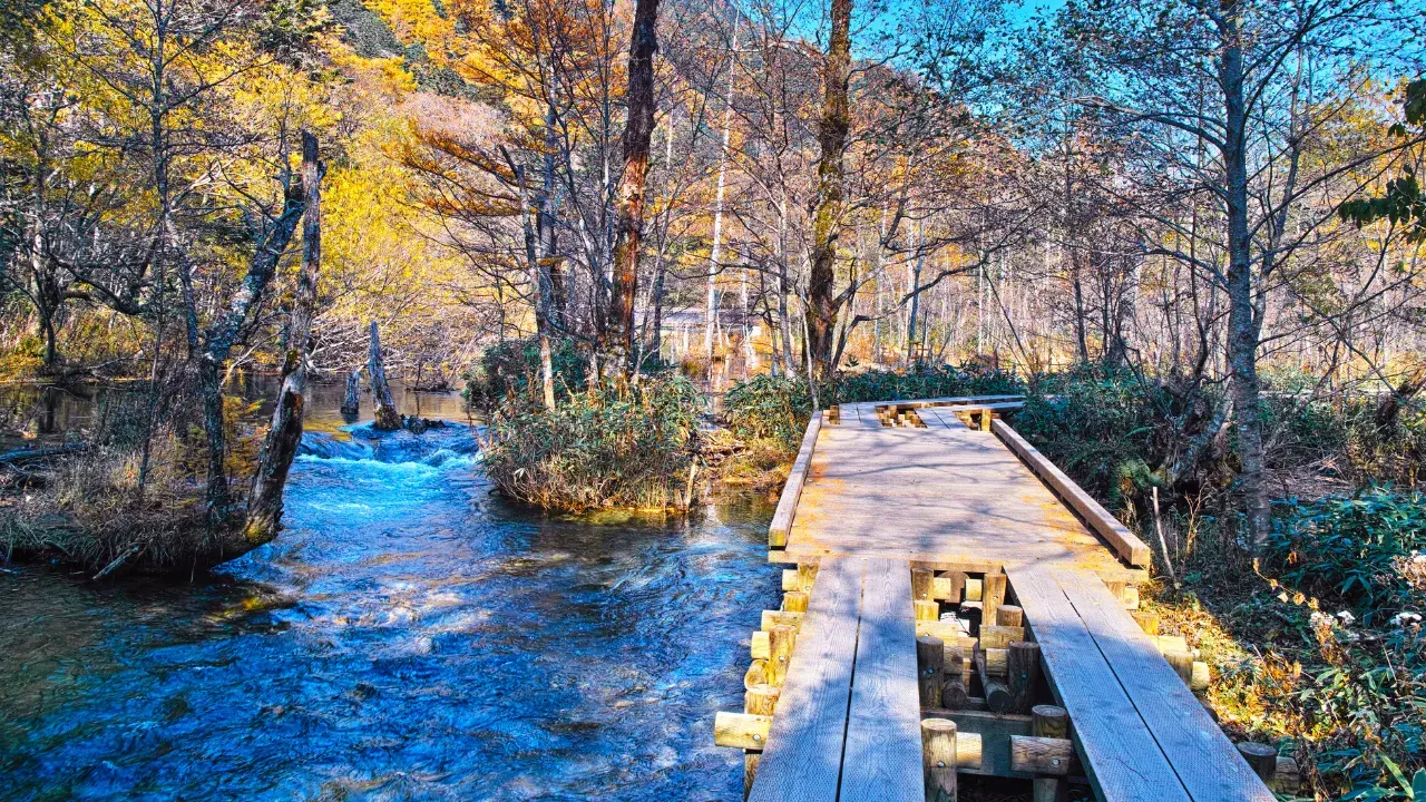 12-May-19-2025-11-54-05-1827-PM