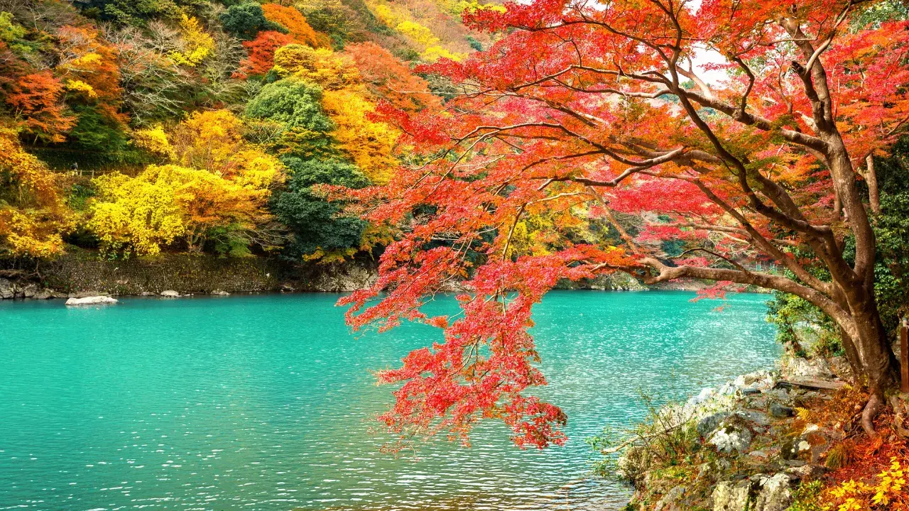 9-Apr-20-2026-03-31-36-4547-PM