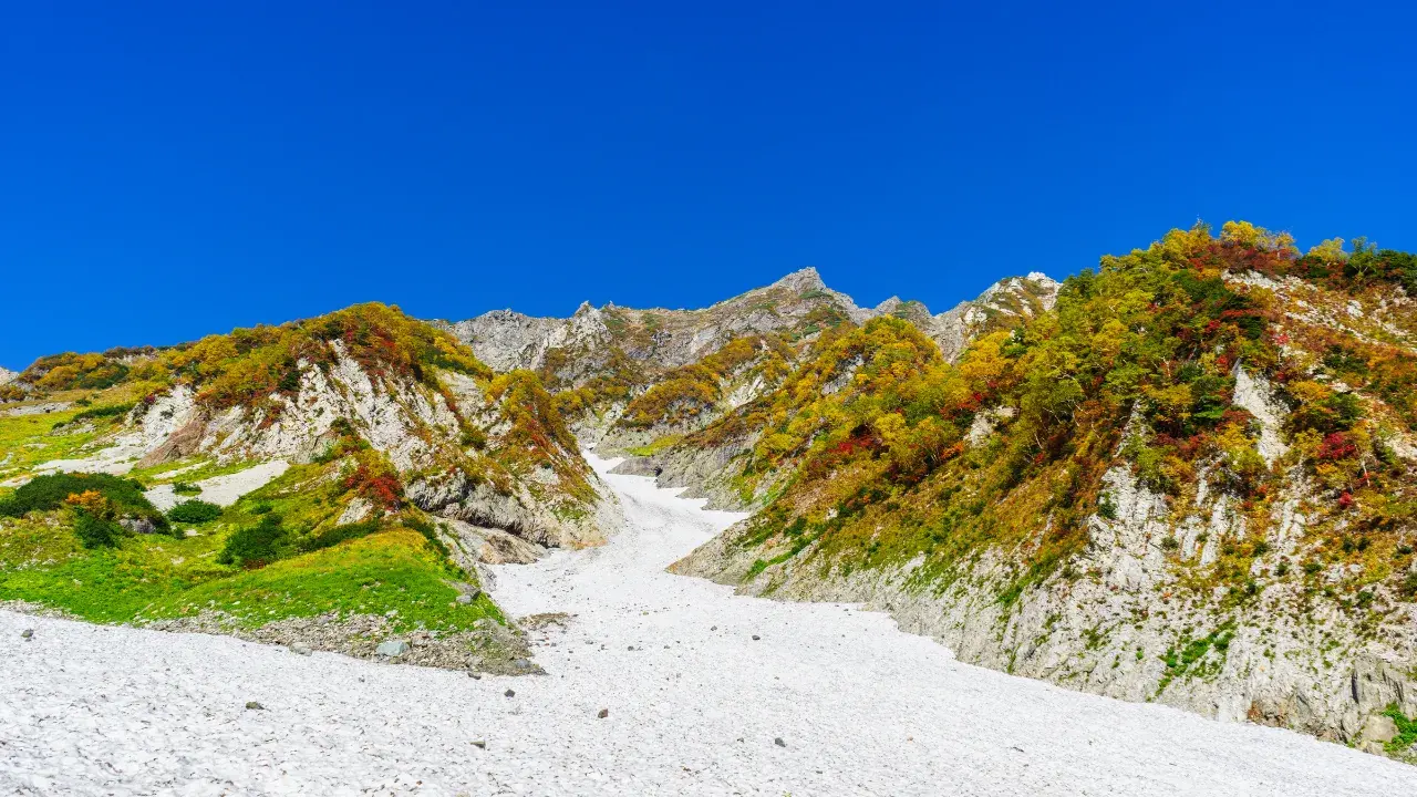 7-Jun-08-2026-12-15-27-5556-AM