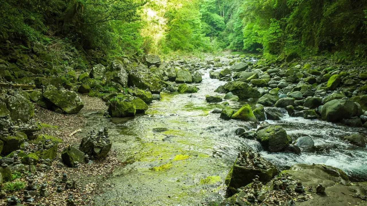 8-May-31-2026-11-27-49-8466-AM