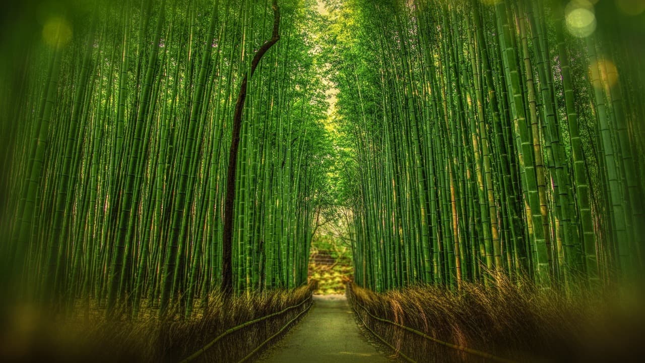 弁天堂 (20)-Dec-08-2024-01-36-04-3719-PM