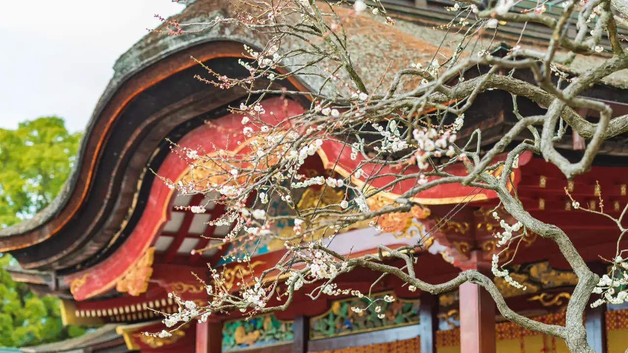 8-Apr-15-2025-12-33-34-6646-PM