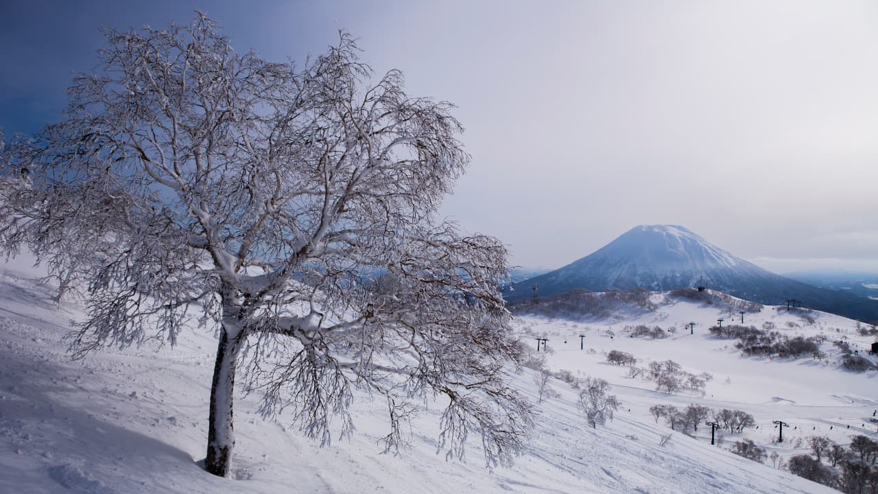 2-Mar-09-2025-12-45-28-9550-AM