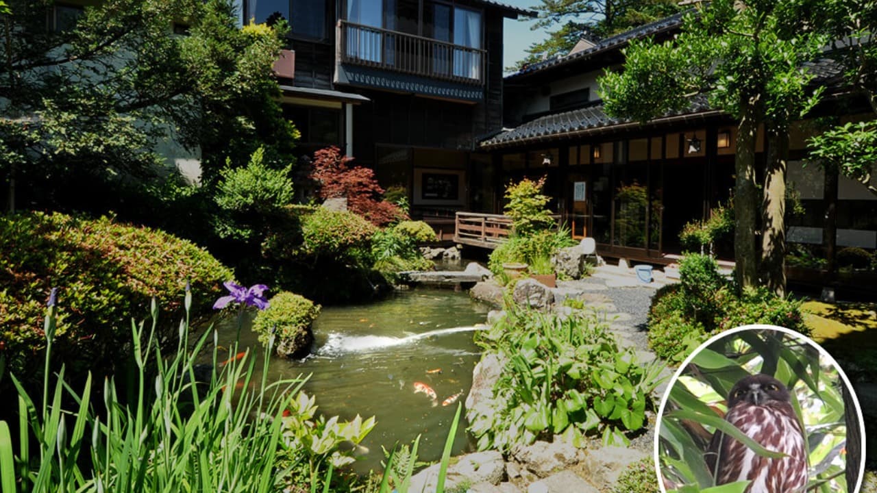 弁天堂 (9)-Nov-16-2024-03-10-13-8802-AM