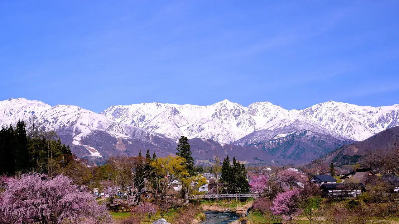 2-Jun-08-2026-12-18-59-8678-AM