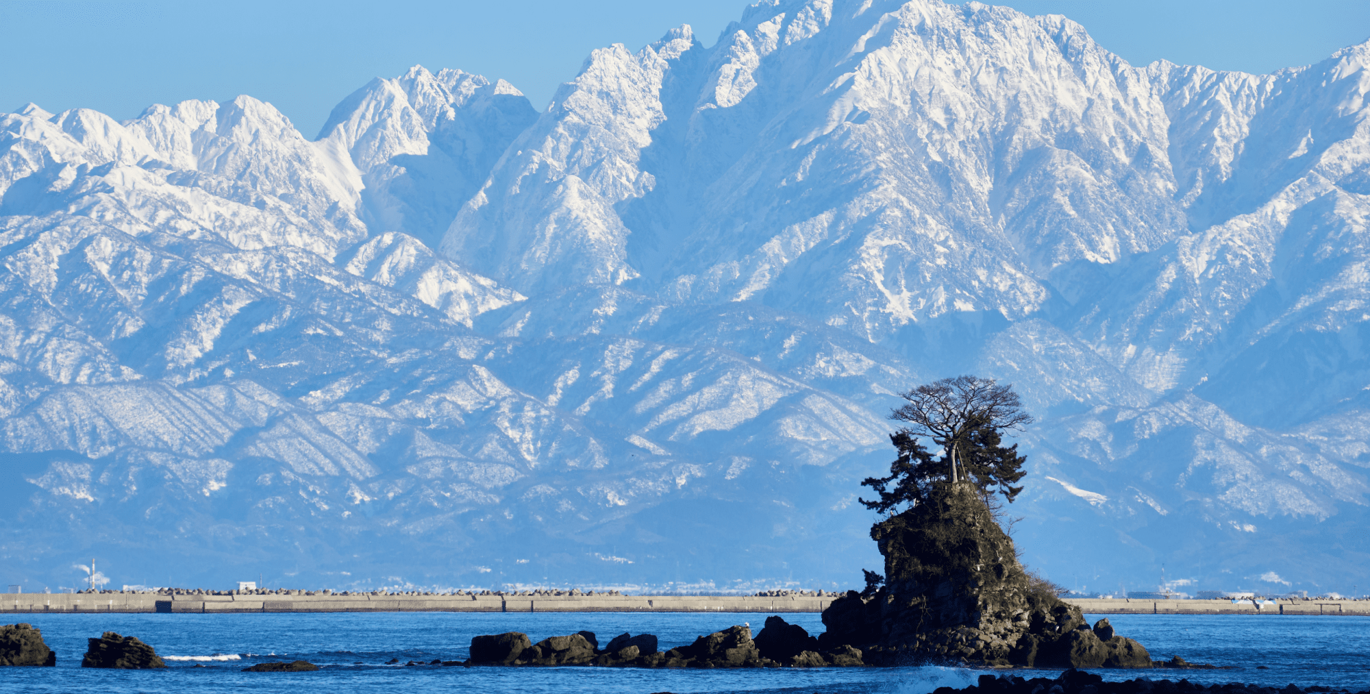 AdobeStock_479752316