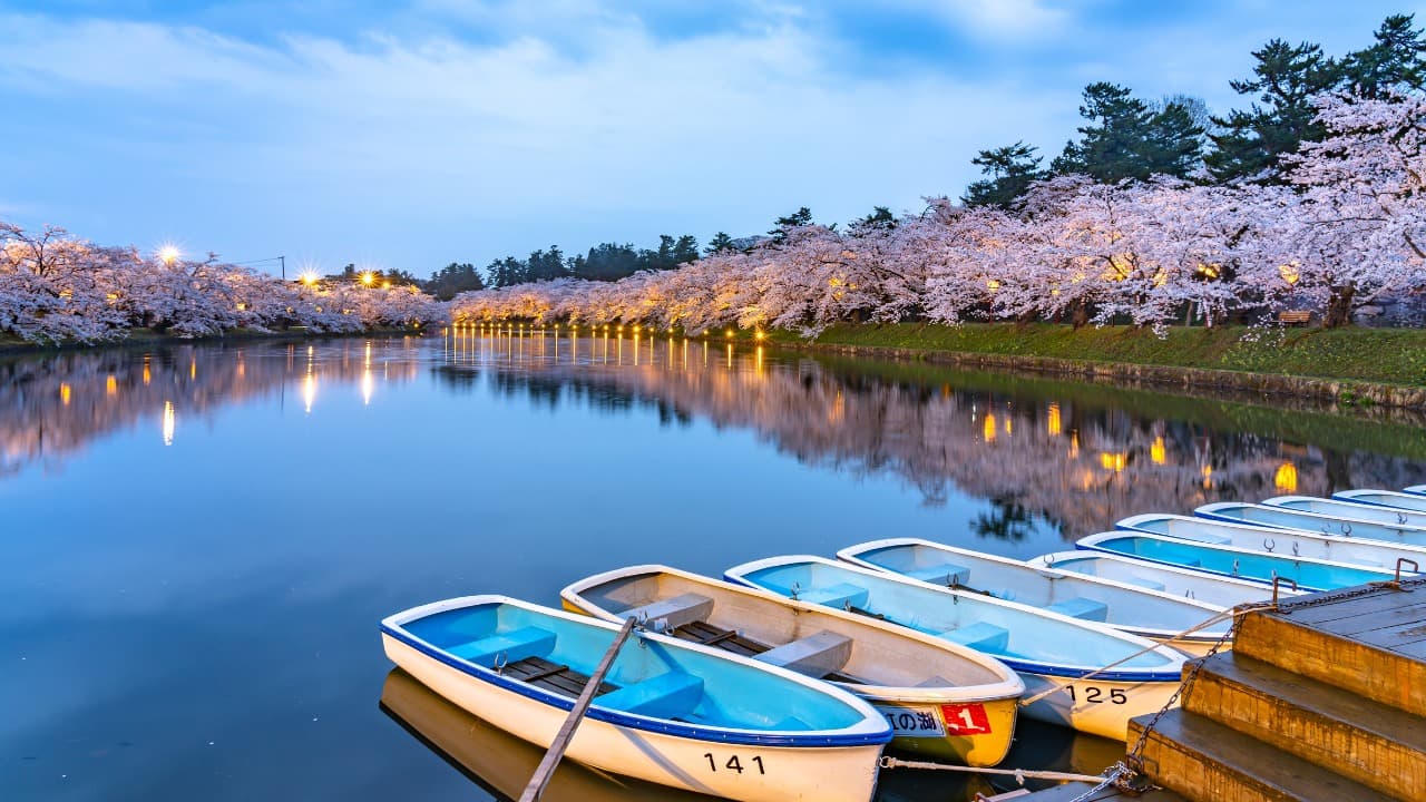 8-Mar-15-2025-05-31-05-0237-AM