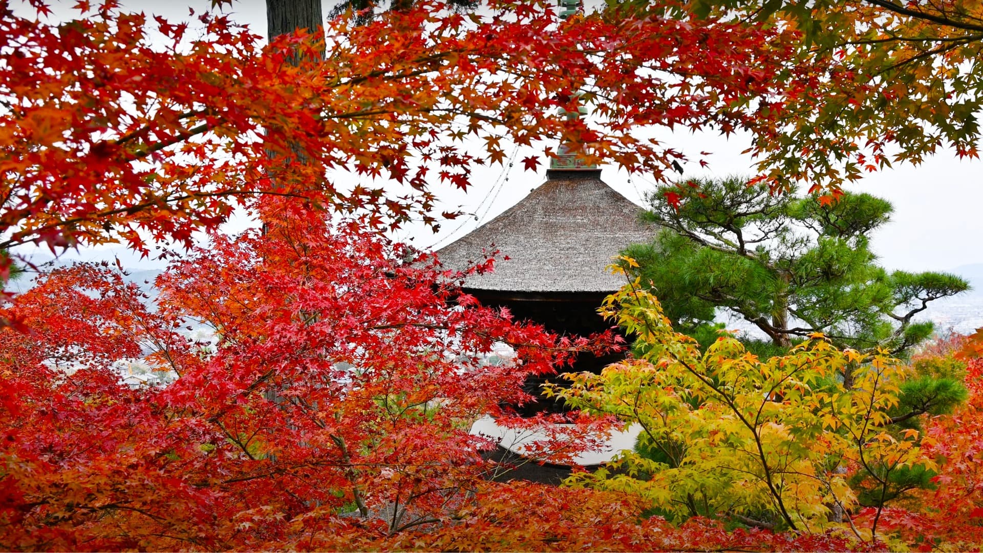 15-Mar-08-2025-05-01-27-6497-AM