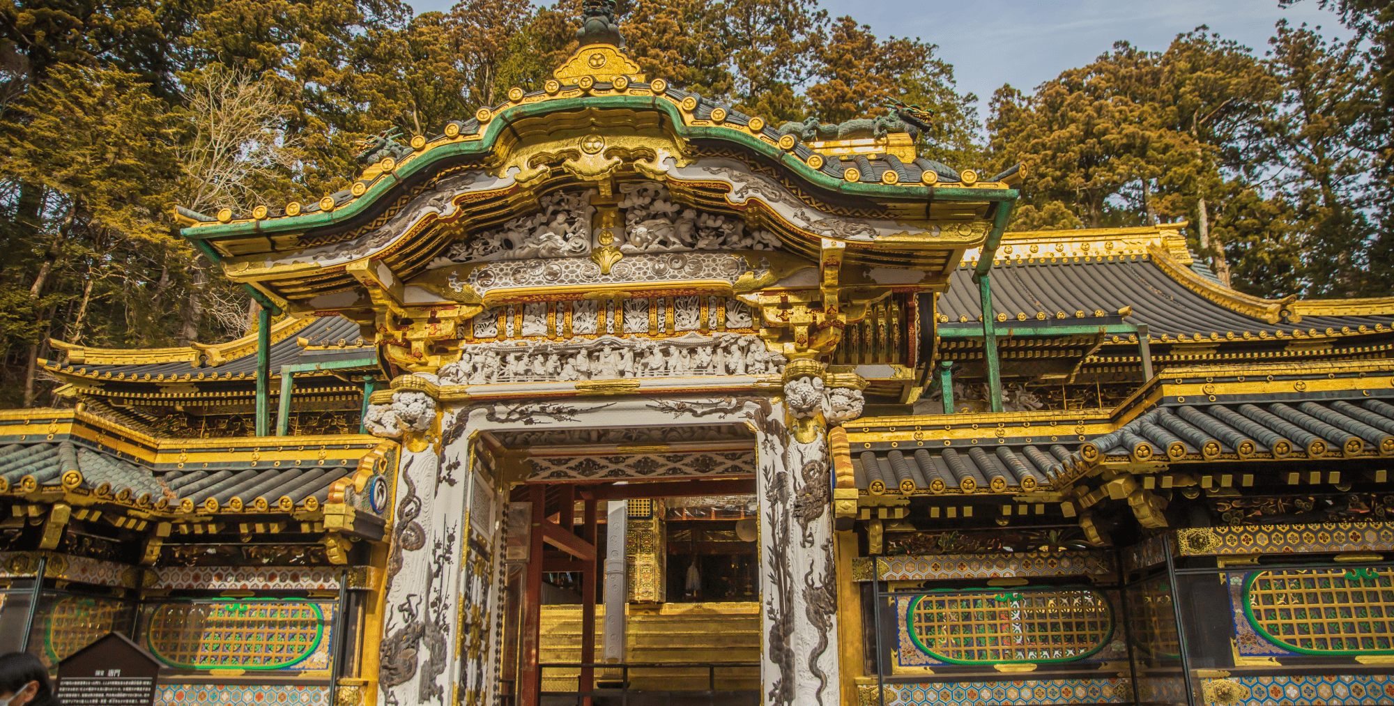 AdobeStock_482835719