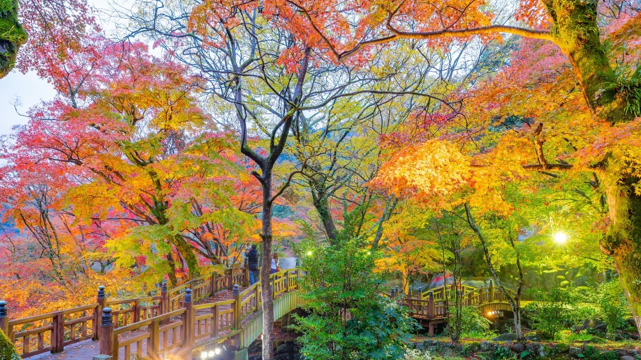 弁天堂 (30)-Nov-29-2024-12-06-03-9535-AM