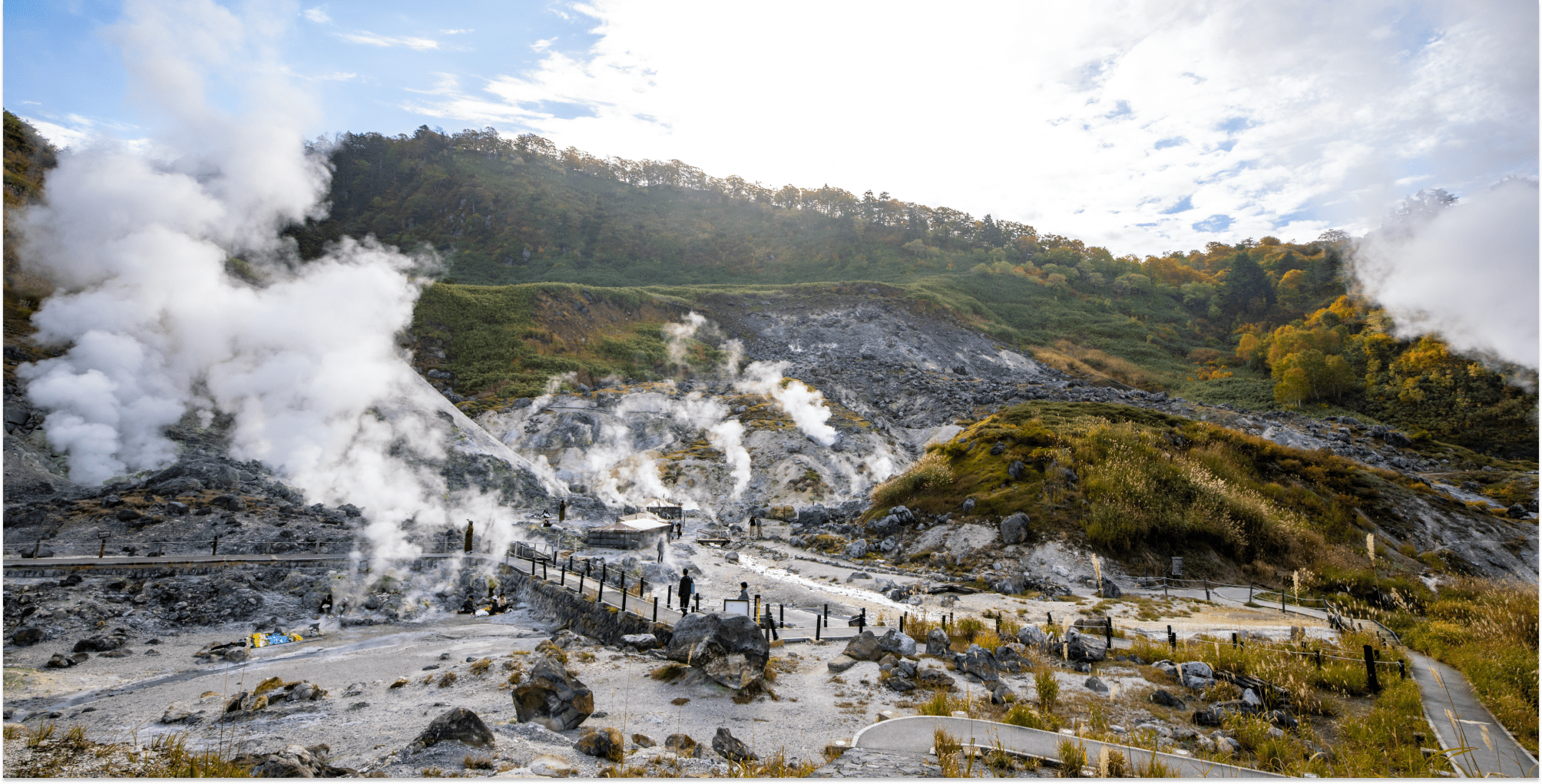 AdobeStock_313509464 1