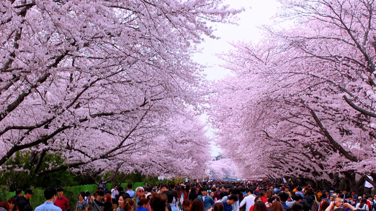 弁天堂 (31)-Jan-18-2026-01-13-25-3381-PM