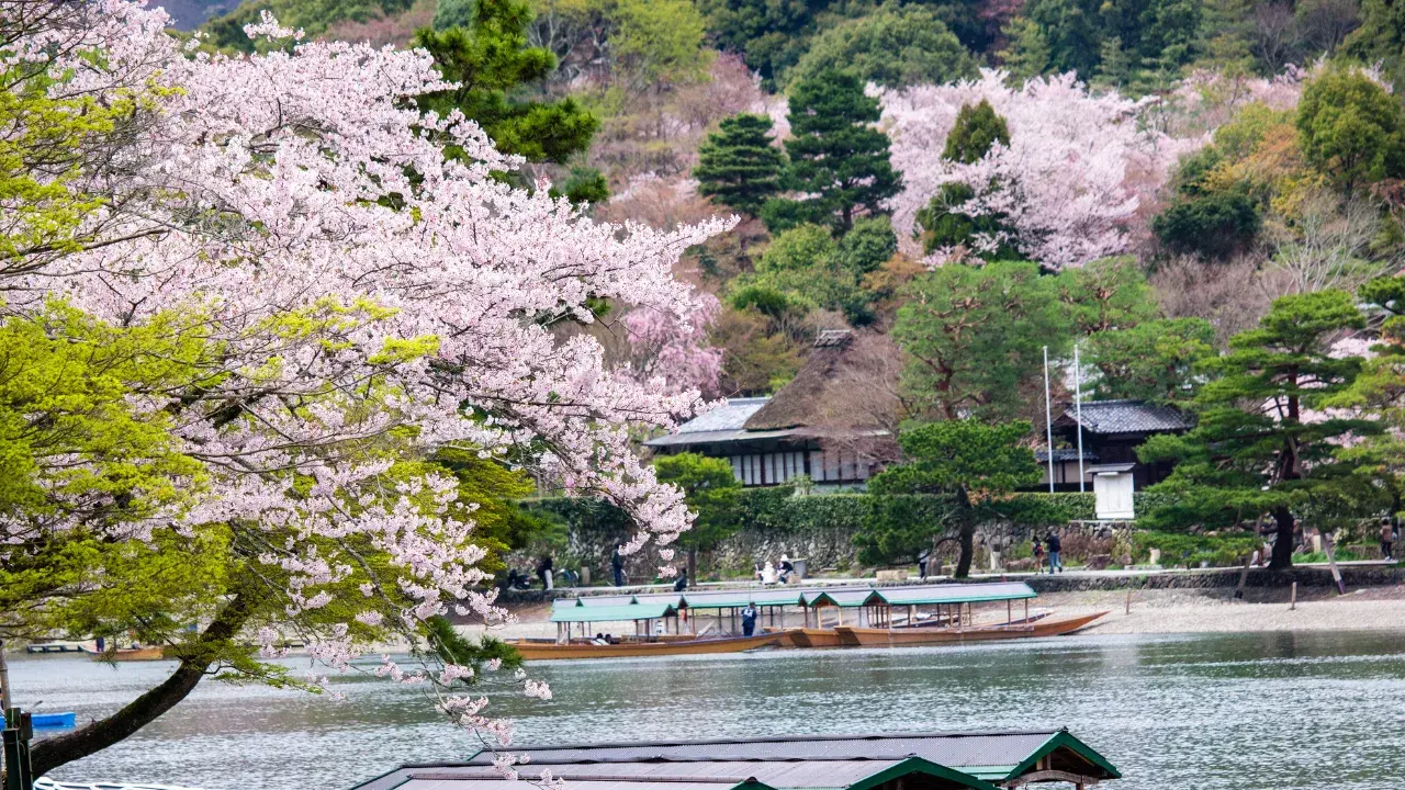 7-Apr-20-2026-03-31-36-5617-PM