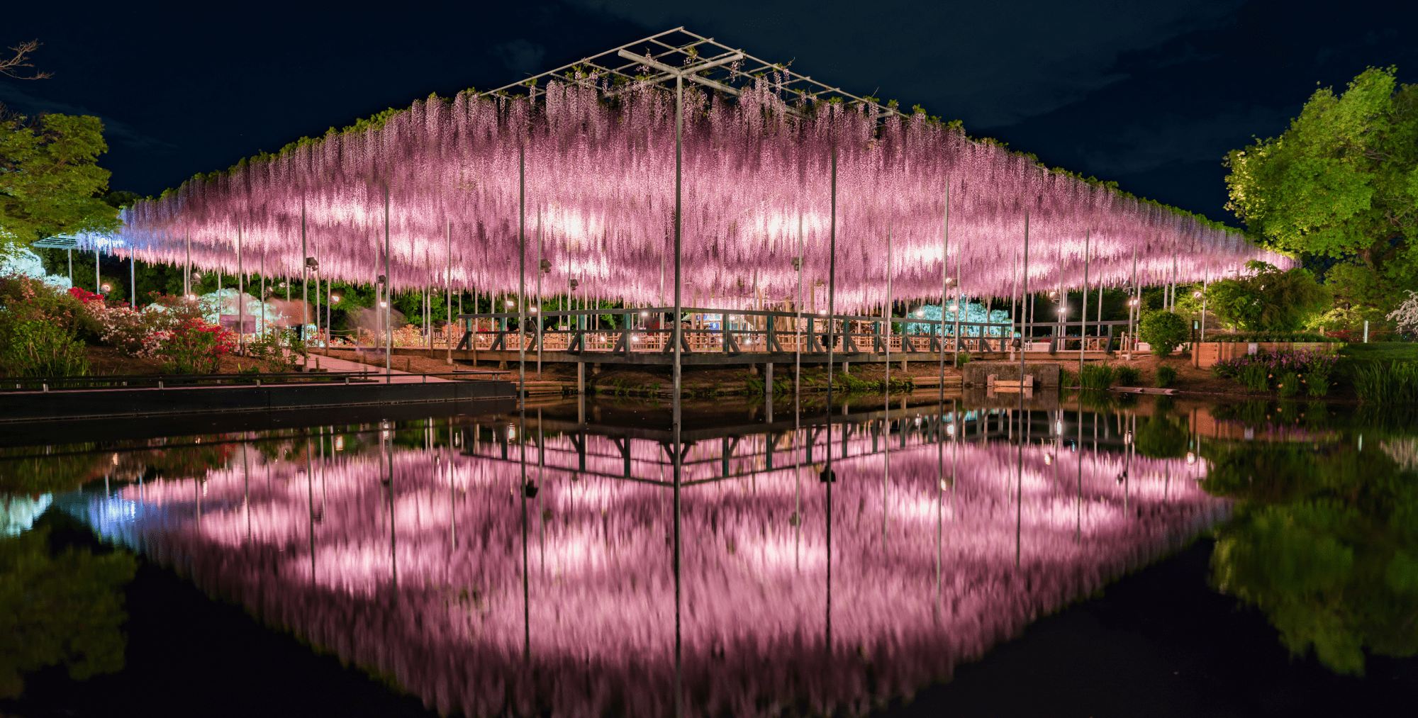 AdobeStock_455715421