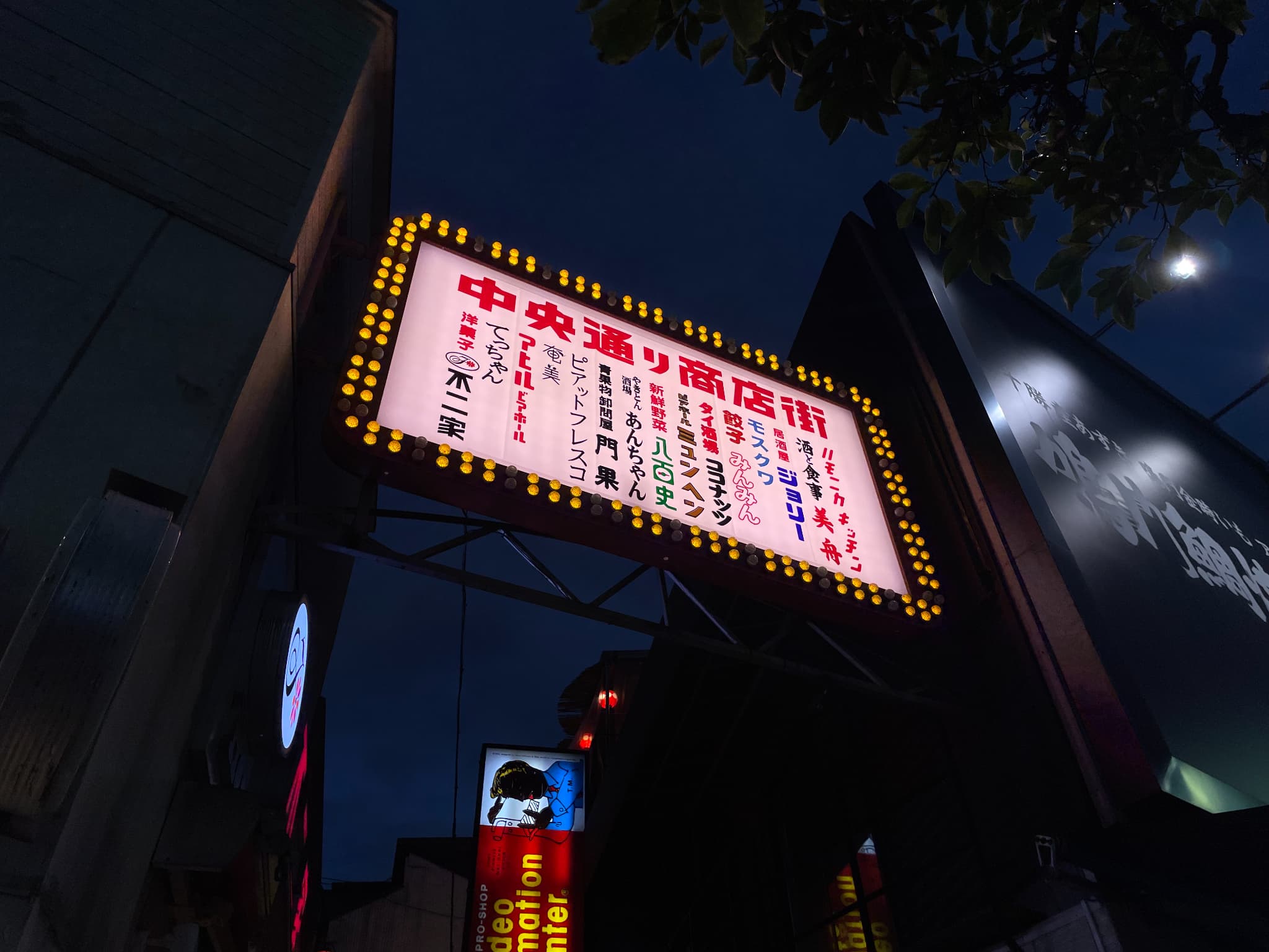 ハーモニカ横丁について｜歴史や概要を詳しく解説 | BESPES