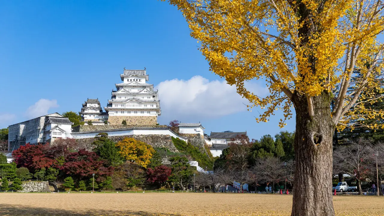 가을의 히메지 성 철저 가이드 | 단풍의 볼거리 호코엔의 라이트 업도 소개