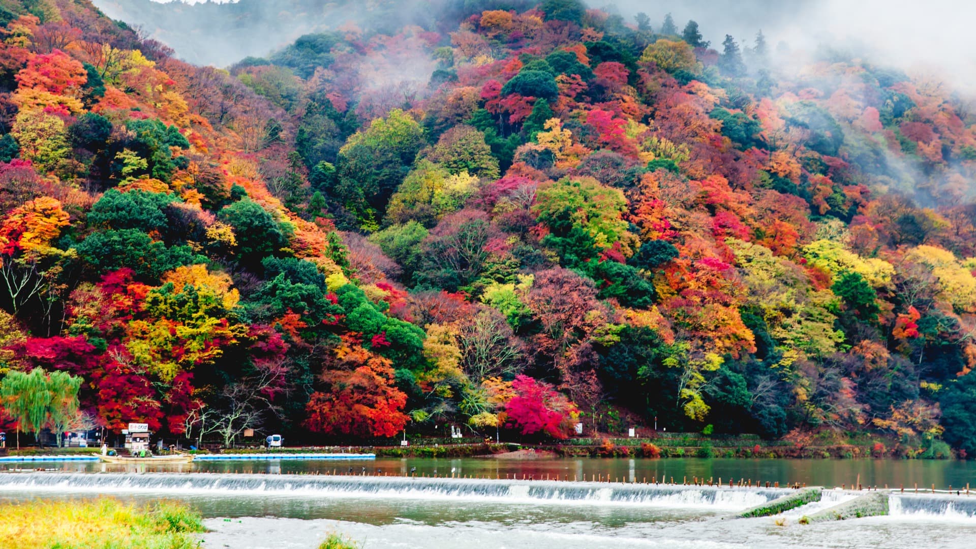 11-Mar-08-2026-03-59-39-6772-AM