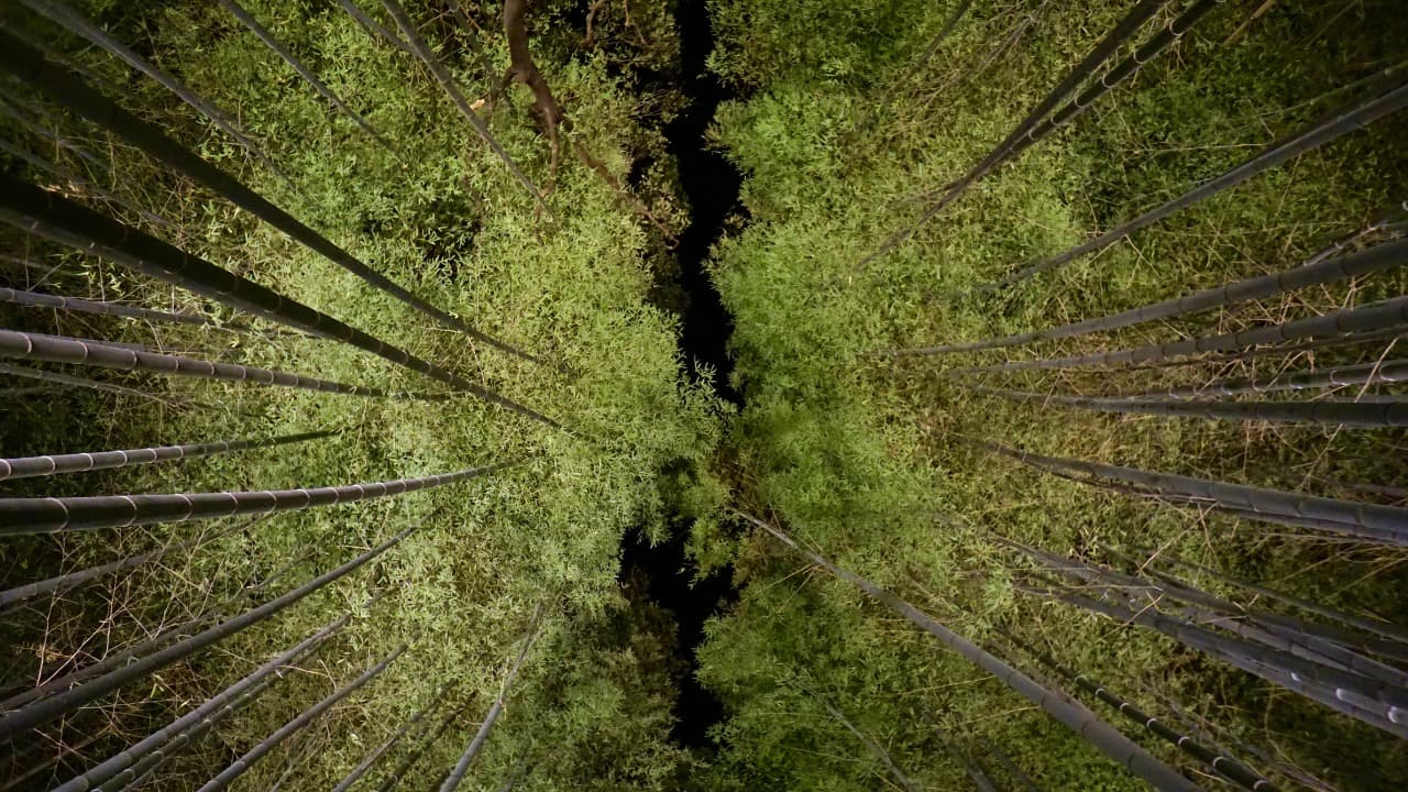 弁天堂 (56)-Dec-22-2024-01-47-01-9625-AM