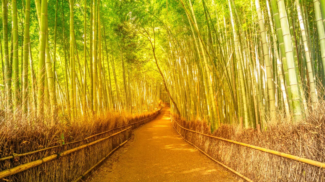 弁天堂 (57)-Dec-22-2024-01-47-09-6958-AM