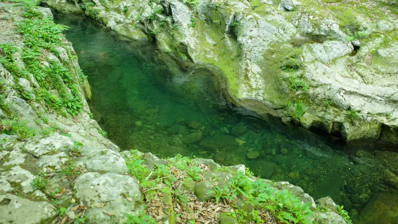 3-May-31-2026-11-27-49-6999-AM