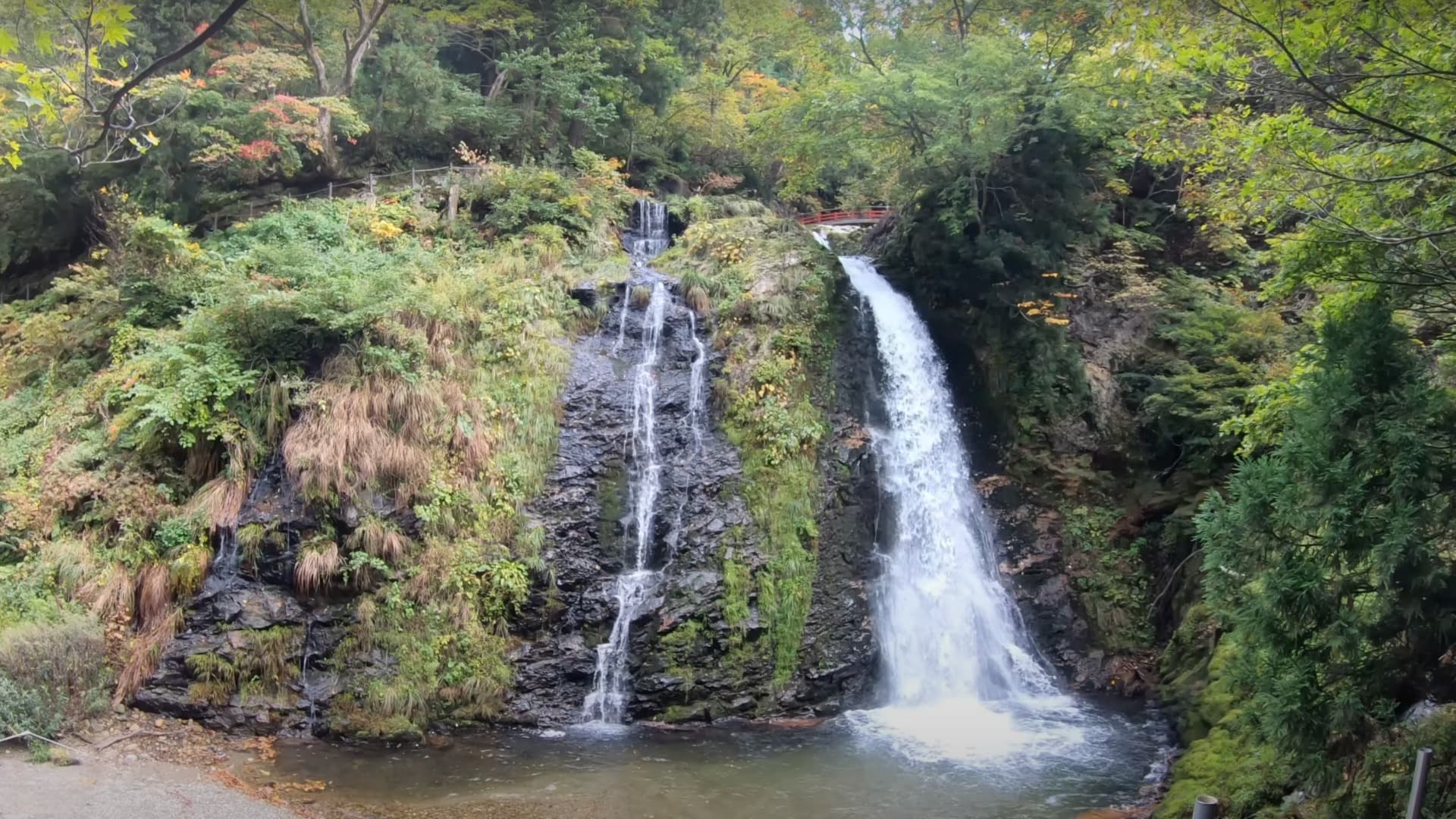 5-Feb-15-2025-07-42-08-7735-AM